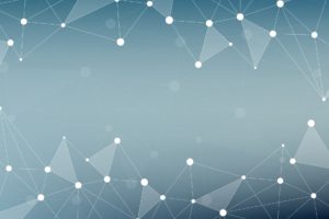 premazon seo company background